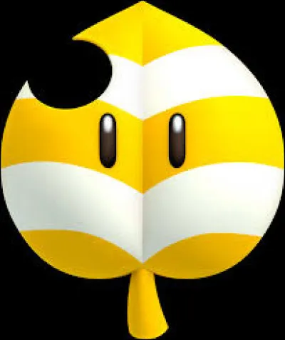 Quel est cet objet ?