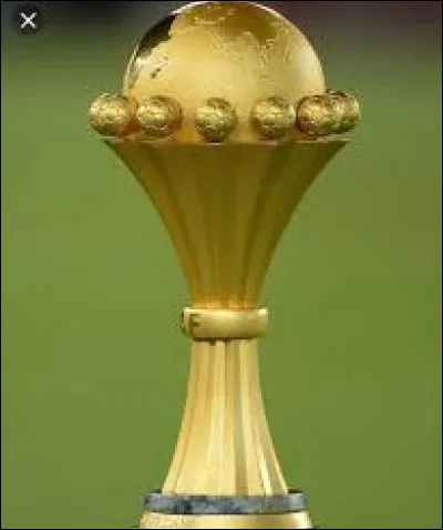 Laquelle de ces nations n'a jamais eu une Coupe d'Afrique ?