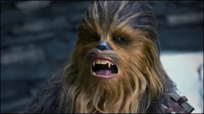 Dans quels films retrouve-t-on ce personnage ?