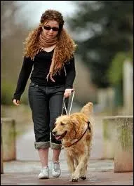 En 2010, plus de 7 aveugles sur 10 ont plus de 70 ans.