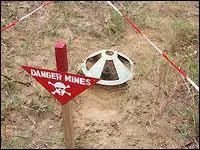 Chaque anne, dans le monde, on dnombre entre 15 000 et 20 000 victimes de mines antipersonelles ( mines enfouies dans la sol se dclenchant au contact d'un pied humain ).