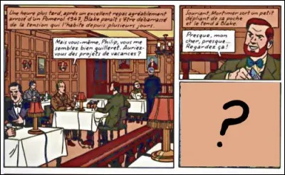 Au début de "L'Affaire Francis Blake" (13e album), Mortimer a des projets : c'est ce qui se cache derrière la 3e case masquée de cette planche !