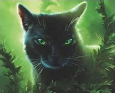 Qui est Feuille de Houx, pour lui ?