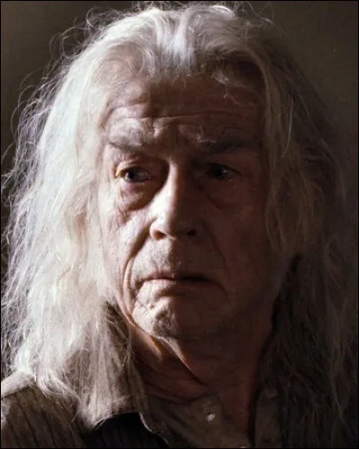 Dans quelle maison est Garrick Ollivander ?