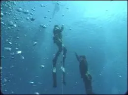 Le record mondial de plonge en apne, qui est de 171 mtres de profondeur, est dtenu par Loc Leferme.