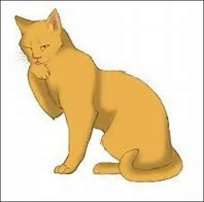 Enfin, comment s'appelle sa belle-sur ?