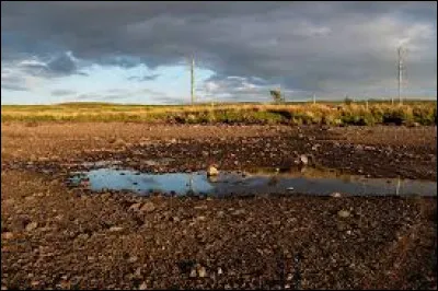 Votre père disparaît, qu'en pensez-vous ?