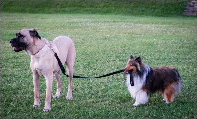 Un complément de phrase est...