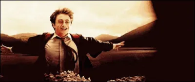 Pour finir mes petits sorciers, qui est Sirius Black pour Harry ?