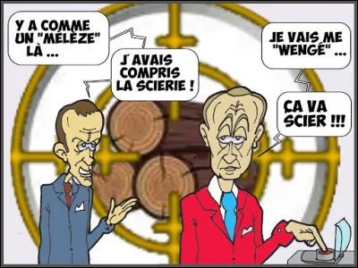 Arbre des forêts tropicales d'Afrique fournissant un bois très sombre, dur et résistant utilisé pour la fabrication des parquets, en ameublement et en ébénisterie :