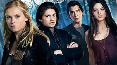 As-tu un frère ou une sur ?