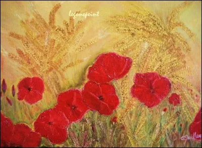 À boire je peux servir, mais si courte je deviens, alors je suis tirée. Je suis...