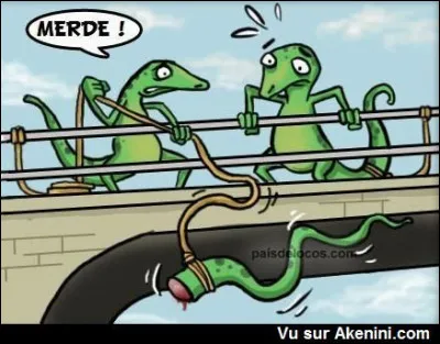 On touche le fond parce qu'il est trop long, mais quand il est trop court, alors on ne touche pas terre. Il est...