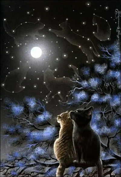 Traduit "bonne nuit" en anglais :