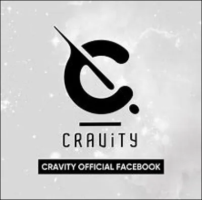 Si tu étais dans un groupe de K-pop, quel rôle préférerais-tu ?