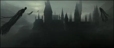 A qui Harry parle-t-il pour essayer de retrouver le diadème de Rowena Serdaigle ?