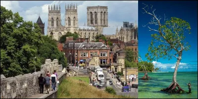 Restons au Canada : 
En 1849, Toronto a été choisie comme capitale de la province du Canada. Devenue capitale, pour la première fois, elle le resta jusqu'en 1852.
Quel a été le premier nom de cette ville ?
Que signifie le mot Toronto venant du dialecte mohawk ?
Selon une périphrase française, comment appelle-t-on cette ville ?