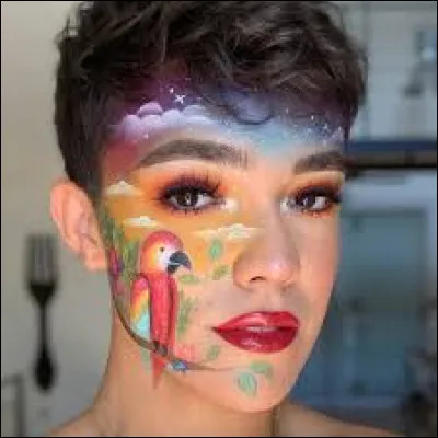 Comment s'appelle ce tiktokeur ?