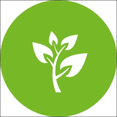 Quelles fibres sont d'origine végétale ?