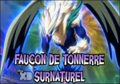 Les esprits guerrier apparaissent dans quelle série ?