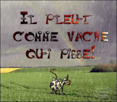 Et enfin "il pleut des cordes !" en France, alors qu'en Angleterre ...