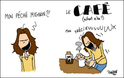 On dit souvent "c'est mon péché mignon !" Que disent les anglais ?