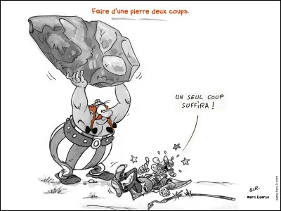 Comment dit-on "faire d'une pierre deux coups !" ?