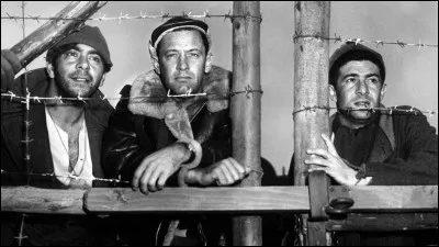 Dans ce film réalisé par Billy Wilder, des prisonniers américains sont emprisonnés dans un camp allemand, un stalag. Ils tentent de débusquer un traître dans leurs rangs et de s'évader. Quel est le numéro du stalag ?
Indice : La Rochelle.