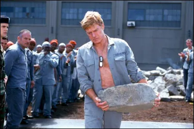 Dans "Le dernier château", Robert Redford, militaire de renom condamné à 10 ans de prison, effectue sa peine dans un centre pénitentiaire militaire de haute sécurité. Il subit alors, avec beaucoup de dignité, l'acharnement constant du colonel commandant le centre et gagne ainsi le respect des autres détenus. Que va-t-il arriver ?