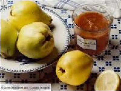 Les____poussent dans un____du jardin.