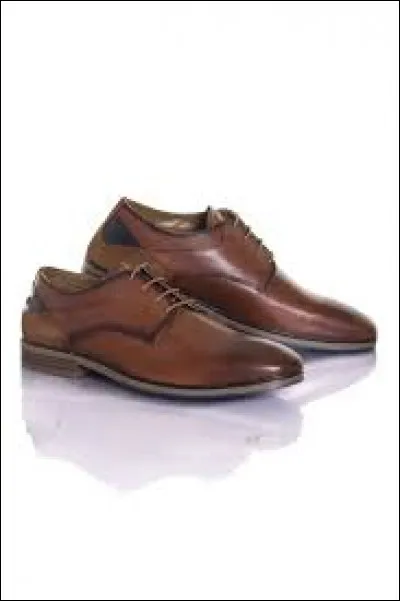 Mon____essaye sa nouvelle____de chaussures.