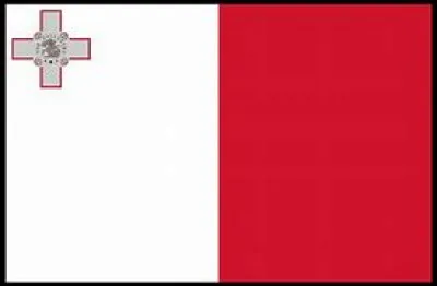 À quel pays correspond ce drapeau ?