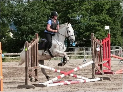 Comment appelle-t-on l'obstacle fait avec deux barres croisées ?