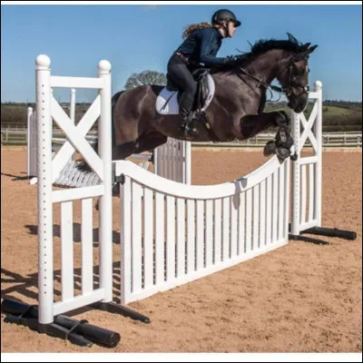 Comment s'appelle l'obstacle qui a le même nom que ce qui entoure les prés des chevaux ?