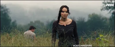 Hunger Games 2 : Dans ce film, quelle est la première personne que Katniss embrasse ?