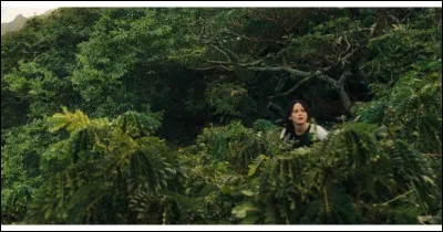 Hunger Games 2 : Quel est le premier danger auquel ont affaire Katniss, Peeta et leurs alliés ?