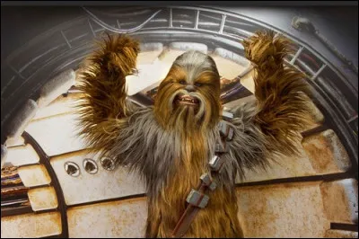 Si on prend une photo avec Chewbacca, avec quel autre personnage peut-on faire une photo ?