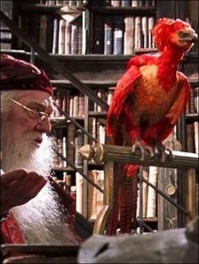 La prophétie s'est-elle réalisée ?