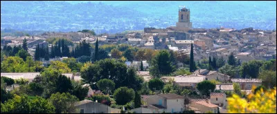 Ville de 20 000 habitants du département de Vaucluse, bordée au sud par la Durance :