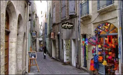 Ville de 8 000 habitants du département de l'Hérault, aux nombreux édifices des XVIIe et XVIIIe siècles, située dans la vallée de l'Hérault :