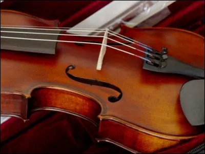 Le violon est un instrument à cordes frottées.