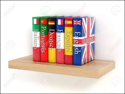 En quelle langue est chantée la chanson ?