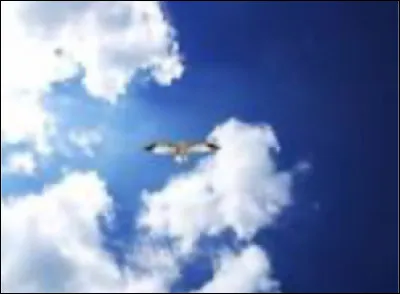 Dans la vidéo, quand les policiers entrent dans sa maison, qu'est-ce qu'ils voient flotter dans les airs ?