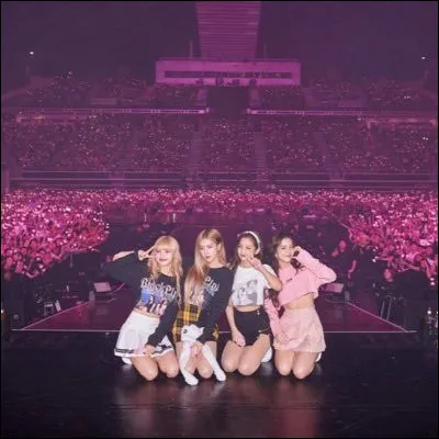 Et enfin, comment les fans se nomment-ils ?