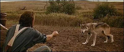 Quand on voit Kevin Costner essayant d'apprivoiser un loup, on pense tout de suite à...