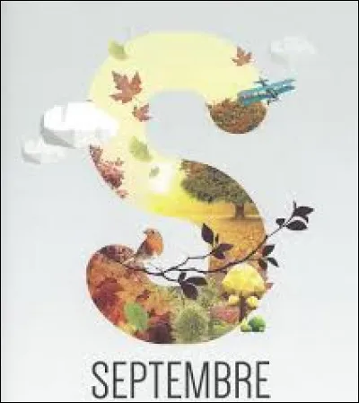 Et puis cette année, je serai peut-être là ! Alors n'oubliez pas mon anniversaire, ce sera :