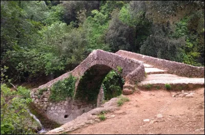 Elle a ses vapeurs, c'est l'...