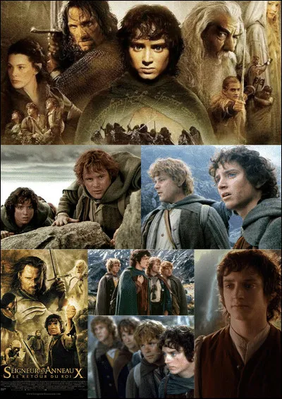 Lis bien chaque description, relie les bien à chaque film : 
Un jeune et timide `Hobbit', Frodon Sacquet, hérite d'un anneau magique. Bien loin d'être une simple babiole, il s'agit d'un instrument de pouvoir absolu qui permettrait à Sauron, le ''Seigneur des ténèbres'', de régner sur la ''Terre du Milieu'' et de réduire en esclavage ses peuples. Frodon doit parvenir jusqu'à la ''Crevasse du Destin