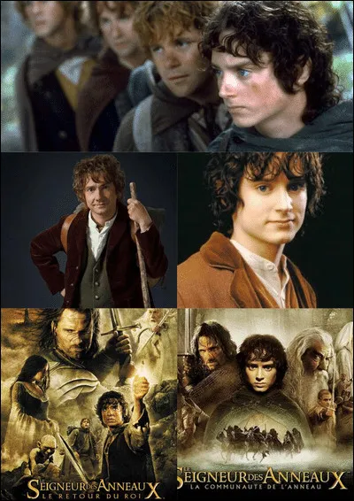 Après la mort de Boromir et la disparition de Gandalf, la ''Communauté'' s'est scindée en trois. Perdus dans les collines d'Emyn Muil, Frodon et Sam découvrent qu'ils sont suivis par Gollum, une créature versatile corrompue par l'anneau magique. Gollum promet de conduire les Hobbits jusqu'à la Porte Noire du Mordor.