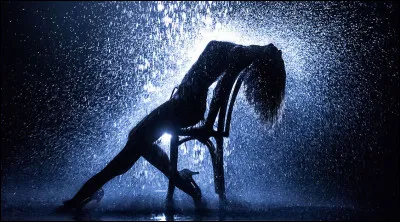 Dans le film "Flashdance", quelle actrice offre un numéro de danse inoubliable sur l'air survitaminé de Irene Cara, "What A Feeling" ?